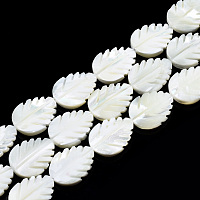 Natural Trochid Shell/Trochus Shell Beads Strands, Bleach, Leaf, White, 19.5~20x15~15.5x4mm, Hole: 0.8mm, about 20pcs/strand, 15.47 inch~15.87 inch(39.3~40.3cm)