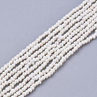 Honeyhandy Natural Cultured Freshwater Pearl Beads Strands, Seashell Color, 1.5~2x1.5~3x1.5~2mm, Hole: 0.5mm, about 215~222pcs/strand, 15.35 inch(39cm)