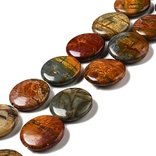 Honeyhandy Natural Picasso Stone/Picasso Jasper Beads Strands, Flat Round, 25x7mm, Hole: 1.5mm, about 16pcs/strand, 15.75''(40cm)