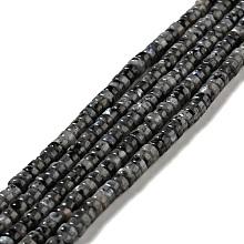 Natural Labradorite Beads Strands, Flat Round, 4.4~4.6x2.2~2.4mm, Hole: 0.8mm, about 159pcs/strand, 14.84''(37.7~38.1cm)