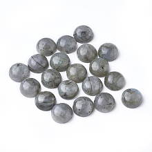 Honeyhandy Natural Labradorite Cabochons, Half Round, 12x5mm