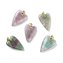 Honeyhandy Natural Fluorite Pendants, with Rack Plating Golden Plated Brass Findings, Long-Lasting Plated, Heart, 32~34x20x8mm, Hole: 4x4mm