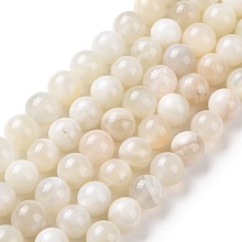 Honeyhandy Natural White Moonstone Beads Strands, Round, 10mm, Hole: 0.8mm, about 38pcs/strand, 15.55 inch(39.5cm)