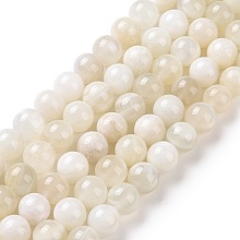 Honeyhandy Natural White Moonstone Beads Strands, Round, 8mm, Hole: 1mm, about 47pcs/strand, 15.55 inch(39.5cm)