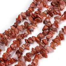 Honeyhandy Natural Carnelian Beads Strands, Chip, 3~16x3~8mm, Hole: 0.7mm, 32.28 inch(82cm)