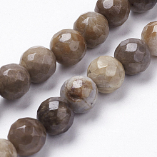 Honeyhandy Natural Silver Leaf Jasper Beads Strands, Round, Faceted, Saddle Brown, 4mm, Hole: 1mm, about 50pcs/strand, 7.6 inch(19.5cm)