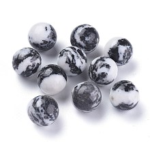 Honeyhandy Natural Zebra Jasper Beads, Gemstone Sphere, No Hole/Undrilled, Round, 17.5~18mm