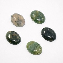 Honeyhandy Mixed Oval Shape Natural Moss Agate Cabochons, Dyed, 20x15x5mm