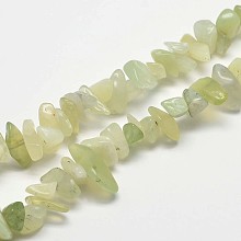 Honeyhandy Chip Natural New Jade Beads Strands, 2~8x2~15mm, Hole: 1mm, about 31.5 inch