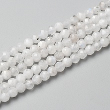 Honeyhandy Natural Rainbow Moonstone Beads Strands, Round, Faceted, 3mm, Hole: 0.6mm, about 140pcs/strand, 15.55 inch(39.5cm)