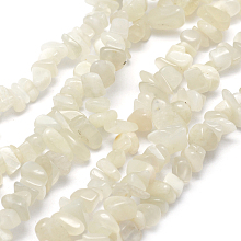 Honeyhandy Natural White Moonstone Beads Strands, Chip, 5~8mm, Hole: 1mm, about 33 inch(84cm)