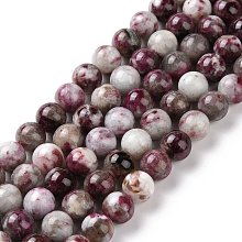 Honeyhandy Natural Plum Blossom Tourmaline Beads Strands, Round, 10mm, Hole: 1.2mm, about 40pcs/strand, 15.55''(39.5cm)