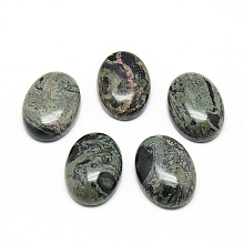 Honeyhandy Natural Kambaba Jasper Cabochons, Oval, 25~25.5x18~18.5x6.5~7.5mm