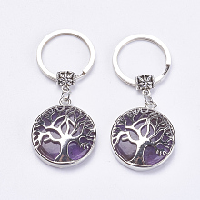 Honeyhandy Natural Amethyst Keychain, with Brass Finding, Flat Round with Tree of Life, 64mm