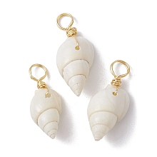 Honeyhandy Spiral Shell Pendants, with Real 18K Gold Plated Copper Wire Loops, Shell Charms, White, 22~25x8~10x7~9mm, Hole: 3.8~4mm