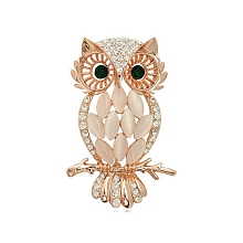 Honeyhandy Alloy Rhinestone Brooches, with Cat Eye, Owl Brooches for Women, Golden, 57x32mm