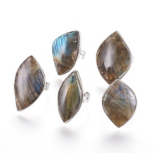 Honeyhandy Adjustable Natural Labradorite Rings, with Brass Findings, Leaf, Size 8, 18.5mm