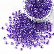 Honeyhandy 8/0 Transparent Colours Rainbows Glass Seed Beads, Round Hole, Round, Medium Orchid, 3~3.5x2mm, Hole: 1~1.2mm, about 10000Pcs/pound