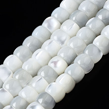 Honeyhandy Natural Trochid Shell/Trochus Shell Beads Strands, Column, Bleach, Seashell Color, 4x3mm, Hole: 0.8mm, about 138~140pcs/strand, 15.94 inch(40cm)