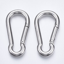 Honeyhandy 304 Stainless Steel Rock Climbing Carabiners, Key Clasps, Stainless Steel Color, 50x25x5mm