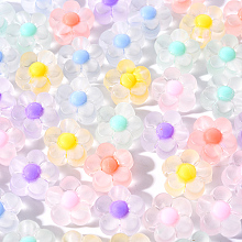 Honeyhandy 60pcs 6 Colors Transparent Acrylic Beads, Frosted, Bead in Bead, Flower, Mixed Color, 12x12.5x6mm, Hole: 2.5mm, 10pcs/color