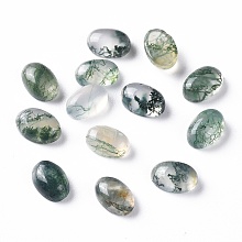 Honeyhandy Natural Moss Agate Cabochons, Flat Back, Oval, 7.5x5.5x3mm