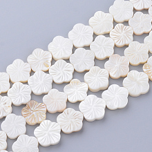 Honeyhandy Natural Freshwater Shell Bead Strands, Flower, Creamy White, 12~13x12~13x2~3.5mm, Hole: 1mm, about 29~30pcs/strand, 14.37 inch