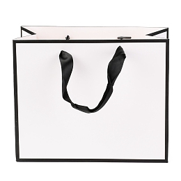 Honeyhandy Rectangle Paper Bags, with Handles, for Gift Bags and Shopping Bags, White, 18x22x0.6cm