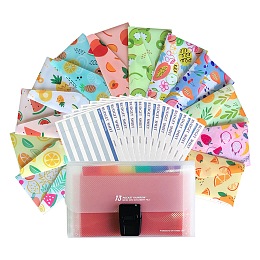 ARRICRAFT Reusable Plastic Budget Envelopes for Cash Savings, with Budget Sheets, Label Stickers and Organizer Wallet, Mixed Color, Fruit Pattern, 80x155x0.1mm