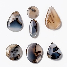 Honeyhandy Natural Dendritic Agate Cabochons, Teardrop & Oval & Round, 21~39x15~27x3~8mm