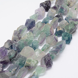 Honeyhandy Raw Rough Natural Fluorite Bead Strands, Nuggets, 15~20x14~18x10~14mm, Hole: 1mm, about 25pcs/strand, 14.9 inch(38cm)