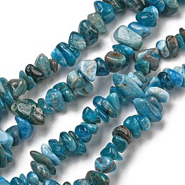 Honeyhandy Natural Apatite Beads Strands, Chip, 8x5mm, Hole: 0.6mm, 33.07''(84cm)