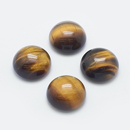 Honeyhandy Natural Tiger Eye Cabochons, Convex, Half Round, 20x10mm