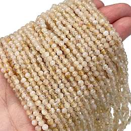 Honeyhandy Natural Citrine Beads Strands, Faceted, Round, 3mm, Hole: 0.8mm, about 124pcs/strand, 15.35''(39cm)