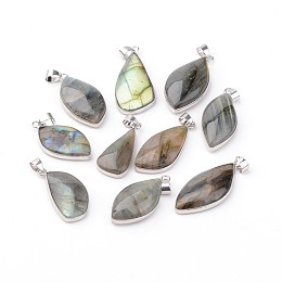 Honeyhandy Natural Labradorite Pendants, with Brass Findings, Mixed Shape, Platinum, 28~55x13~35x4~11mm, Hole: 4x6mm