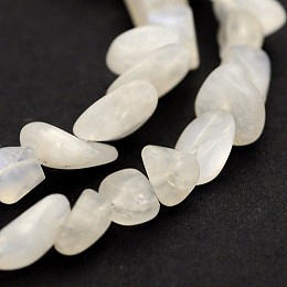 Honeyhandy Natural White Moonstone Bead Strands, Nuggets, 5~19x4~9x3~9mm, Hole: 0.5~1mm, about 15.7 inch