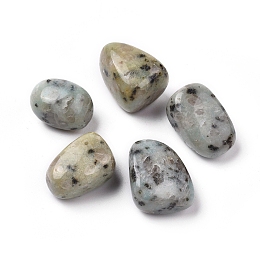 Honeyhandy Natural Sesame Jasper/Kiwi Jasper Beads, Tumbled Stone, Vase Filler Gems, No Hole/Undrilled, Nuggets, 20~35x13~23x8~22mm