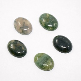 Honeyhandy Mixed Oval Shape Natural Moss Agate Cabochons, Dyed, 20x15x5mm