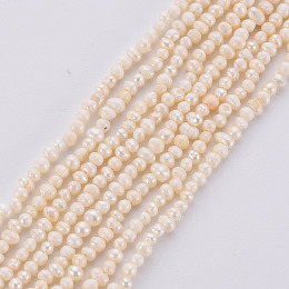 Honeyhandy Natural Cultured Freshwater Pearl Beads Strands, Seashell Color, 1.5~2x1.5~3x1.5~2mm, Hole: 0.5mm, about 142pcs/strand, 13.78 inch(35cm)