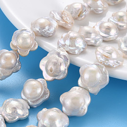 Honeyhandy Natural Keshi Pearl Beads Strands, Cultured Freshwater Pearl, Flower, Seashell Color, 14~19x15~17x7~8mm, Hole: 0.6mm, about 24~25pcs/strand, 14.96~15.35 inch(38~39cm)