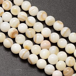 Honeyhandy Natural Freshwater Shell Round Bead Strands, 6mm, Hole: 1mm, about 62pcs/strand, 14.5 inch