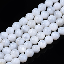 Honeyhandy Natural Freshwater Shell Beads Strands, Round, White, 4mm, Hole: 0.8mm, about 97~99pcs/strand, 14.88 inch~15.16 inch(37.8~38.5cm)