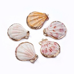 Honeyhandy Shell Pendants, with Iron Findinggs, Shell, Light Gold, 38.5~42x35~38x6.5~8mm, Hole: 1.6~1.8mm