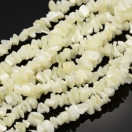Honeyhandy Natural Shell Beads Strands, Pearlized, Chips, White, 8~14mm, Hole: 0.5~0.6mm, about 244pcs/strand, 35 inch
