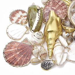 Honeyhandy Sea Shell Pendants, Natural Color, Mixed Styles, Mixed Color, 15~86x7~51x5~30mm, Hole: 1~5mm