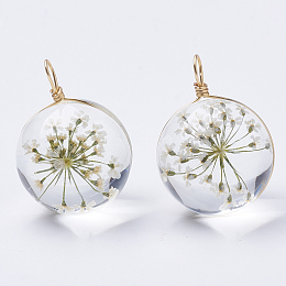 Honeyhandy Glass Pendants, with Dried Flower Inside & Brass Findings, Round, Golden, Beige, 19x14mm, Hole: 2mm