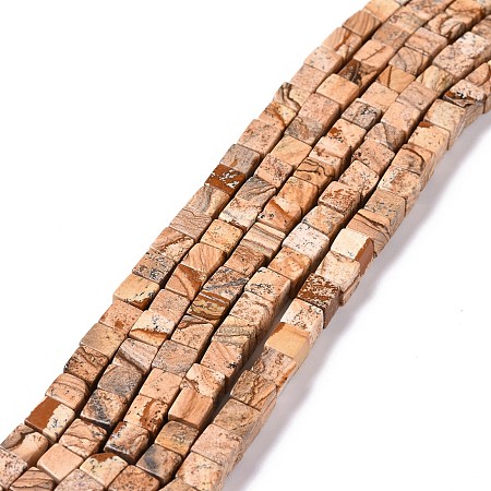 Honeyhandy Natural Picture Jasper Beads Strands, Square, 6x6x6mm, Hole: 1mm, about 59pcs/strand, 15.16 inch(38.5cm)