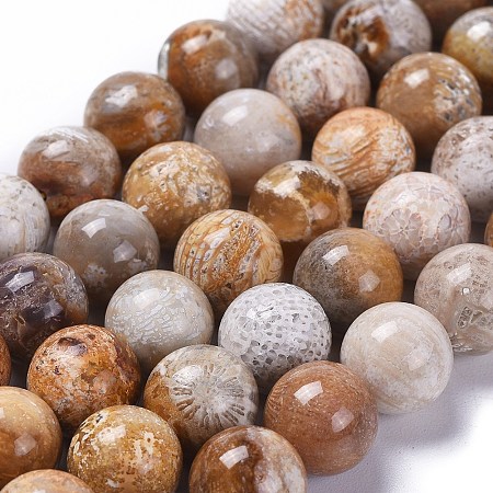 ARRICRAFT Natural Fossil Coral Beads Strands, Round, 8mm, Hole: 1mm