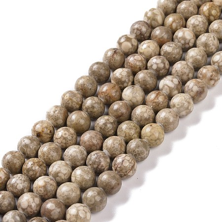 Honeyhandy Natural Maifanite/Maifan Stone Beads Strands, Round, 10mm, Hole: 1mm, about 38pcs/strand, 15.1 inch(38.4cm)