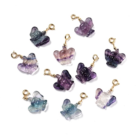 Honeyhandy Natural Fluorite Carved Pendants, with Golden Plated Brass Findings, Elephant, 21~23x20.5~21.5x7mm, Hole: 3.7mm
